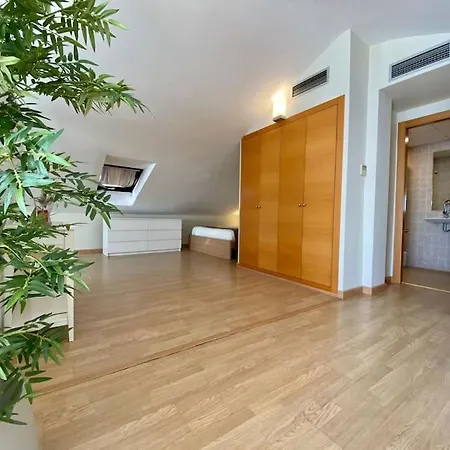 Apartment Exclusive Beachfront Penthouse